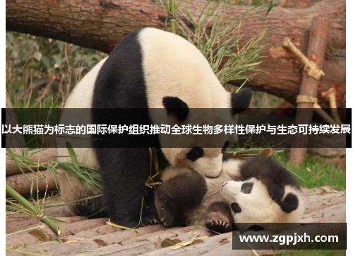 以大熊猫为标志的国际保护组织推动全球生物多样性保护与生态可持续发展