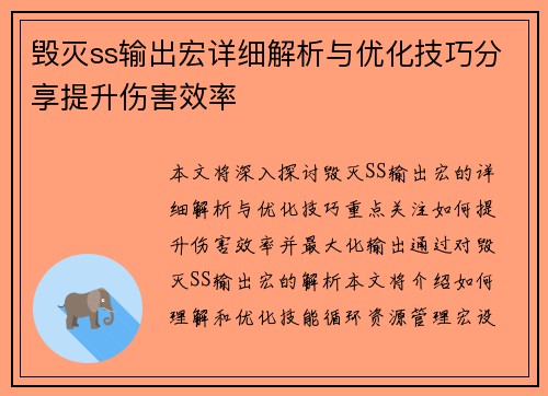 毁灭ss输出宏详细解析与优化技巧分享提升伤害效率