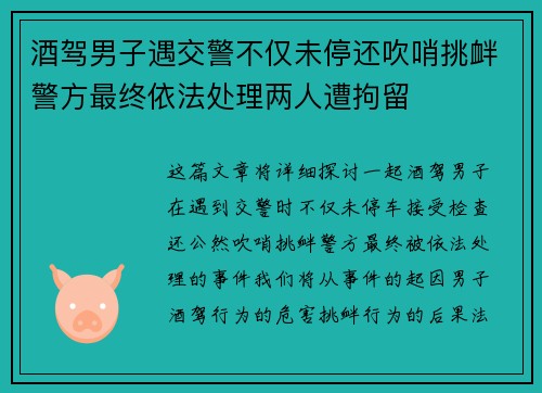 酒驾男子遇交警不仅未停还吹哨挑衅警方最终依法处理两人遭拘留